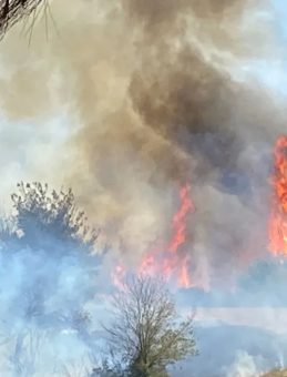 Osmaniye'de Korku Dolu Anlar: Orman İşçileri Alevlerin Arasında Kaldı!