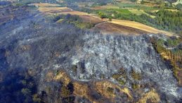 Osmaniye'de Orman Yangını Kontrol Altına Alındı