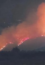 Pamukkale&rsquo;de Orman Yangını
