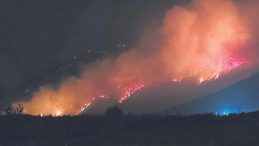 Pamukkale’de Orman Yangını