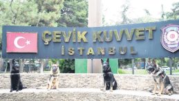 Patili Kahramanlar Suçluların Peşinde