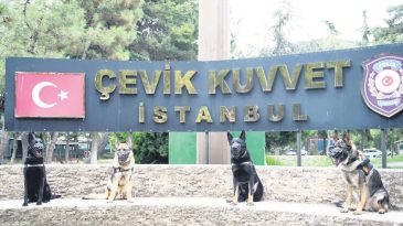 Patili Kahramanlar Su&ccedil;luların Peşinde
