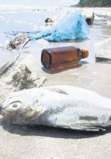 Plastik ve Deniz &Ccedil;&ouml;pleriyle M&uuml;cadelede Yeni D&ouml;nem