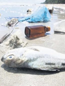Plastik ve Deniz Çöpleriyle Mücadelede Yeni Dönem