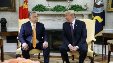 Putin ve Zelenski Zirvesi: Trump ile Orban Bir Araya Geldi!