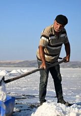 "Huri" İsimli Atıyla Dedesi Gibi Yıllardır Tuzu Topluyor