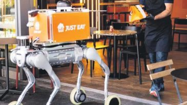 Robot K&ouml;pekler Teslimat S&uuml;recine Girdi