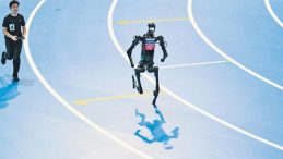 Robotlar Altın Madalya Peşinde