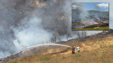 R&uuml;zgarın Etkisiyle B&uuml;y&uuml;yen Alevler: Kocaeli'de Yangın