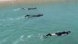 Şanlıurfa'da Sulama Kanalında Erkek Cesedi Bulundu