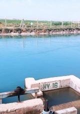 Şanlıurfa&rsquo;da Sulama Kanalında Kayıp Gencin Cansız Bedeni Bulundu