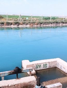 Şanlıurfa’da Sulama Kanalında Kayıp Gencin Cansız Bedeni Bulundu