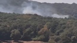 Sarıyer'de Orman Yangını