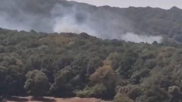 Sarıyer'de Orman Yangını
