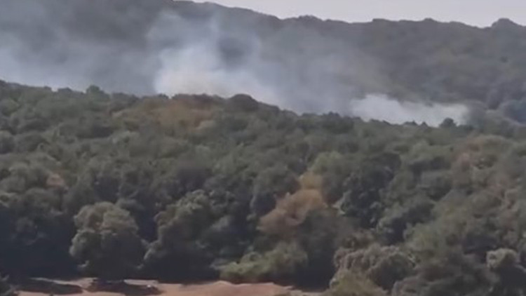 Sarıyer'de Orman Yangını