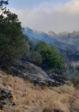 Şark&ouml;y'&uuml;n Otantik K&ouml;y&uuml; Yangın Tehlikesi Atlattı