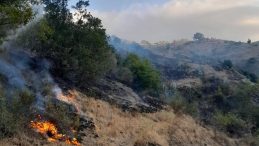 Şarköy'ün Otantik Köyü Yangın Tehlikesi Atlattı