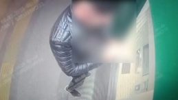 Sazan Sarmalı Dolandırıcılık Çetesine Olta Operasyonu
