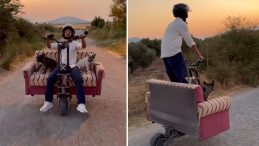 Scooter'a Koltuk Montajı Yaparak Köpekleriyle Seyahat Etti