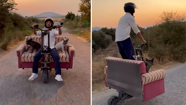 Scooter'a Koltuk Montajı Yaparak Köpekleriyle Seyahat Etti