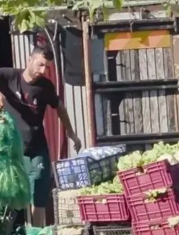 Sebze Yüklü Kamyonet Devrildi: 2 Yaralı