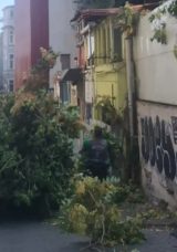 Şiddetli R&uuml;zgar Ağa&ccedil; Devirdi! Yoldan Kimsenin Ge&ccedil;memesi Facianın &Ouml;n&uuml;ne Ge&ccedil;ti