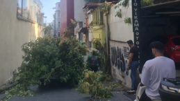 Şiddetli Rüzgar Ağaç Devirdi! Yoldan Kimsenin Geçmemesi Facianın Önüne Geçti