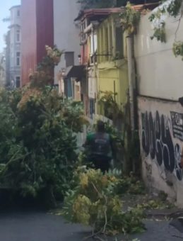 Şiddetli Rüzgar Ağaç Devirdi! Yoldan Kimsenin Geçmemesi Facianın Önüne Geçti