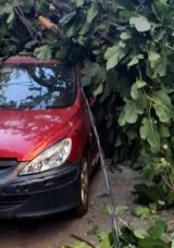 Şiddetli R&uuml;zgar Elektrik Direğini ve İncir Ağacını İki Aracın &Uuml;zerine Devrildi