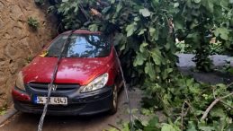 Şiddetli R&uuml;zgar Elektrik Direğini ve İncir Ağacını İki Aracın &Uuml;zerine Devrildi