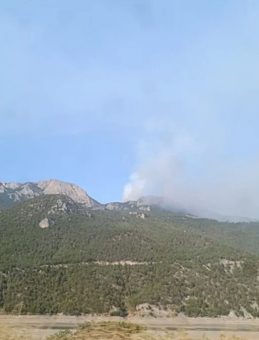 Sinop’ta Orman Yangını: Bir Köy Tahliye Edildi!