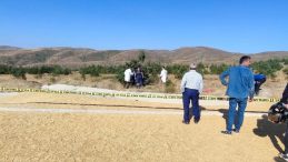 Sivas'ta Buğday Yüklü Traktör Devrildi: 2 Ölü