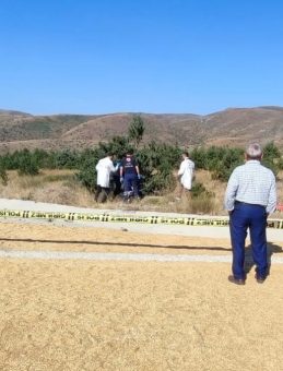 Sivas'ta Buğday Yüklü Traktör Devrildi: 2 Ölü