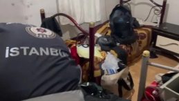 Şok Evi Operasyonu: 12 G&ouml;&ccedil;men Ka&ccedil;ak&ccedil;ısı Yakalandı