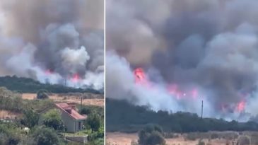 Son dakika… Bursa'da orman yangını: Havadan ve karadan m&uuml;dahale ediliyor
