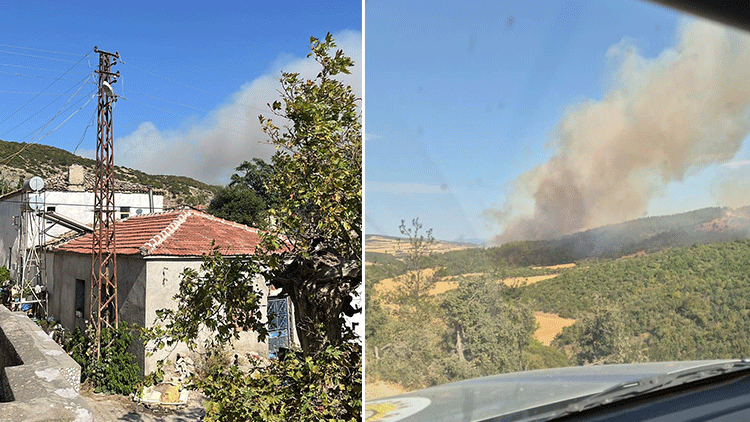 Son Dakika: Çanakkale Gelibolu'da Orman Yangınıyla Mücadele Ediliyor