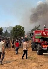 Son Dakika: &Ccedil;anakkale'de Orman Yangını! Ormanlık ve Tarım Alanlarında M&uuml;cadele&hellip; &Ccedil;anakkale Yangınında Son Durum Nedir, S&ouml;nen Yangın Var mı?