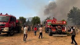 Son Dakika: Çanakkale'de Orman Yangını! Ormanlık ve Tarım Alanlarında Mücadele… Çanakkale Yangınında Son Durum Nedir, Sönen Yangın Var mı?
