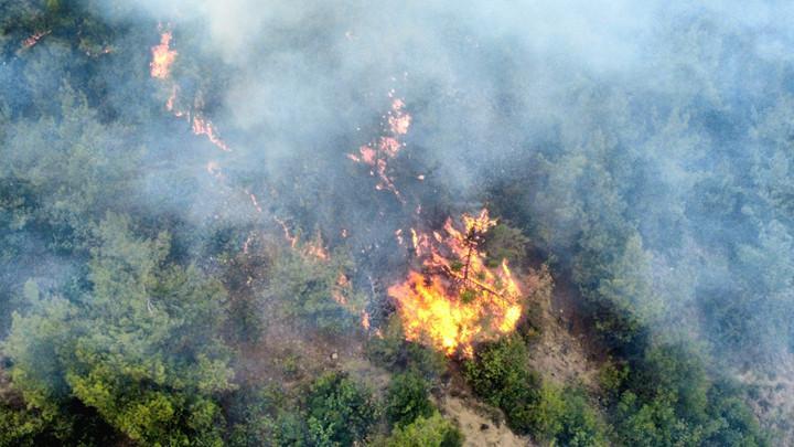 Son dakika… Karabük'te orman yangını