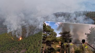 Son Dakika: Mersin ve Hatay'da Orman Yangını! M&uuml;cadele G&uuml;n&uuml;n İlk Işıklarıyla Yeniden Başladı