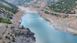Tarım Bakanlığı Harekete Geçti