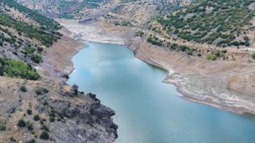 Tarım Bakanlığı Harekete Geçti