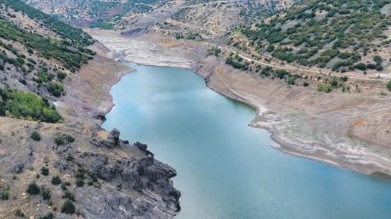 Tarım Bakanlığı Harekete Geçti
