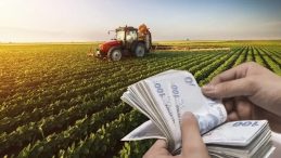 Tarım ÜFE’de 10 Yılın En Büyük Aylık Düşüşü