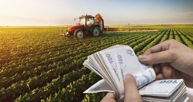 Tarım ÜFE’de 10 Yılın En Büyük Aylık Düşüşü
