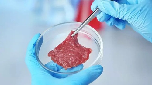 Tarım ve Orman Bakanı Yumaklı, Yapay Et İddialarına Cevap Verdi