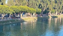 Tarsus'ta Berdan Baraj G&ouml;l&uuml;'ne Giren İki Kardeşten Biri Hayatını Kaybetti