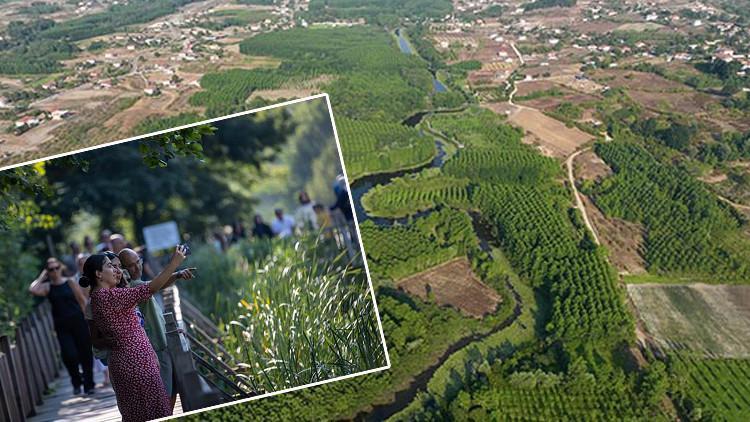 Tek parça olmasıyla dikkat çeken Acarlar Longozu: 'Longoz tarif edilemez, yaşanır'