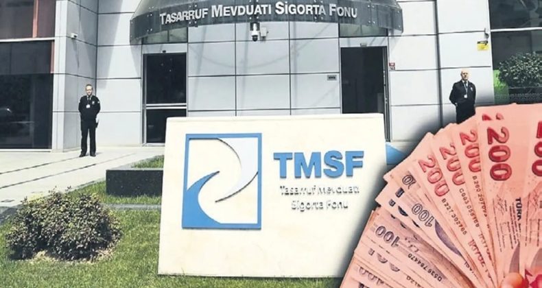 TMSF, Aydınlı Grubu’nu 20.3 milyara satışa çıkardı