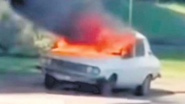 Toros Yakan Ş&uuml;phelinin Su&ccedil; Kaydı Dikkat &Ccedil;ekiyor